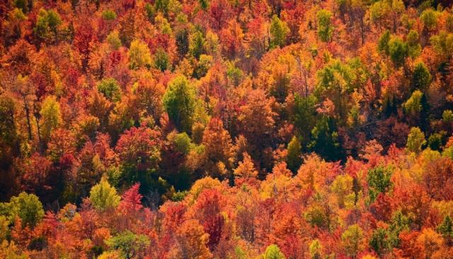 12 Affordable Cities That Are an Autumn Treat