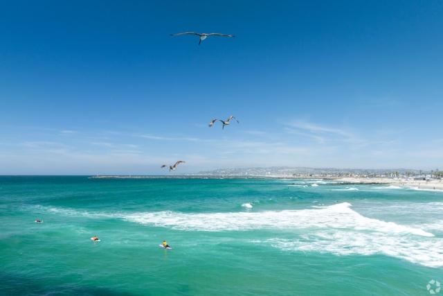 Seagulls fly over the water at Ocean Beach Park in San Diego.