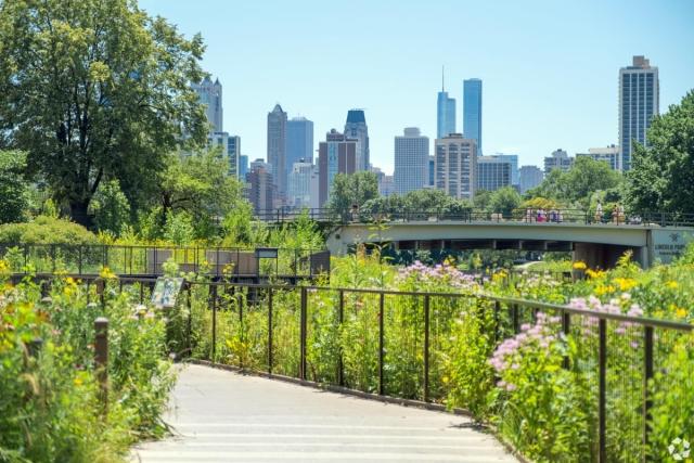 View of the Chicago cityscape