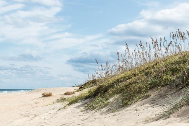 Beachy coastline in Virginia Beach
