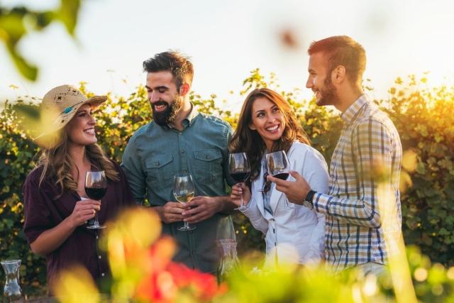 Group of friends in a vineyard holding wine glasses