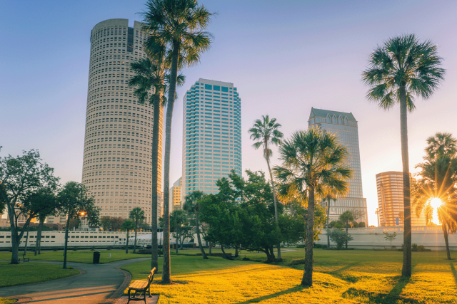 Tampa at sunset