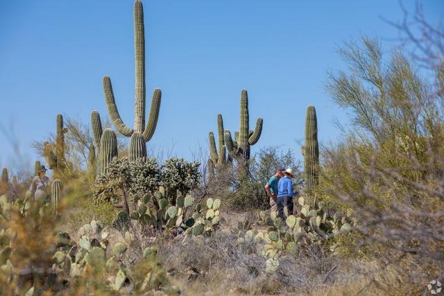 Tucson is home to diverse nature.