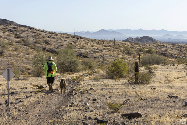 A person and their dog hiking through Phoenix.