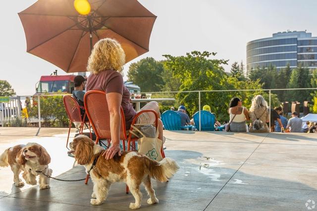 Woman sitting at a table under an umbrella with her two dogs.