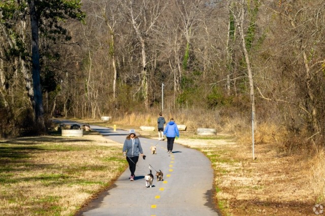 People walking their dogs on a paved trail.