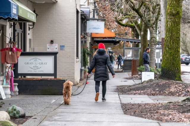 Woman walking her dog down a street in Seattle.