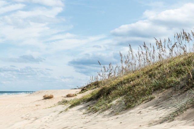 Beachy coastline in Virginia Beach