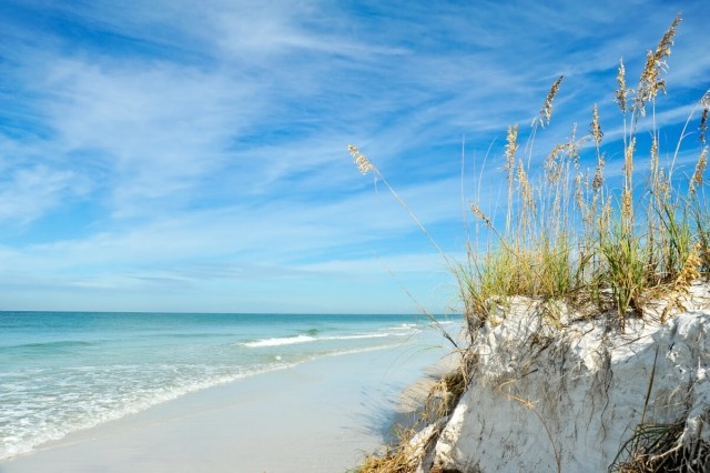 Closeup photo of Florida's sunny coast