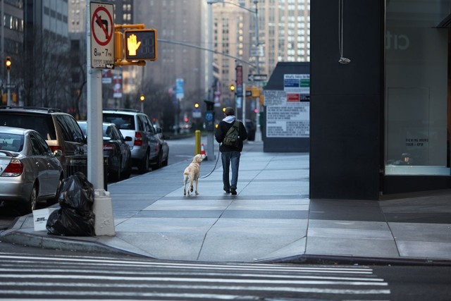 Man walking his dog in a city.