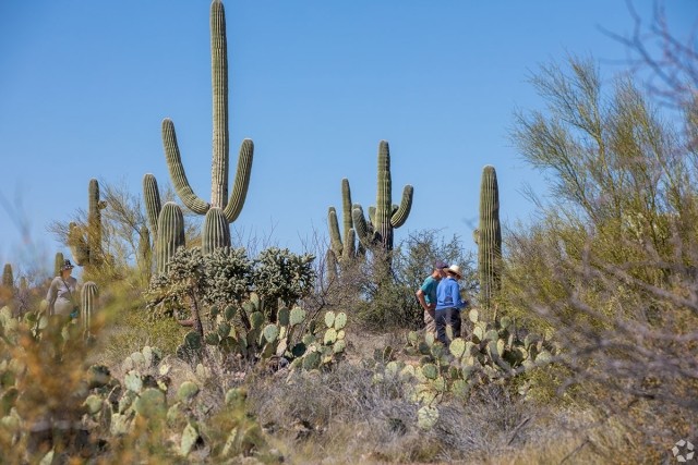 Tucson is home to diverse nature.