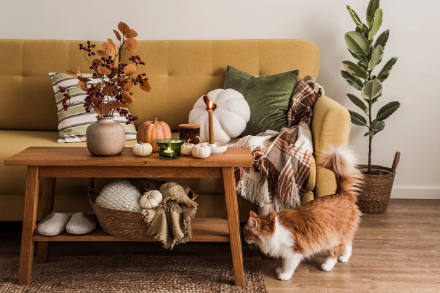 Fall Refresh