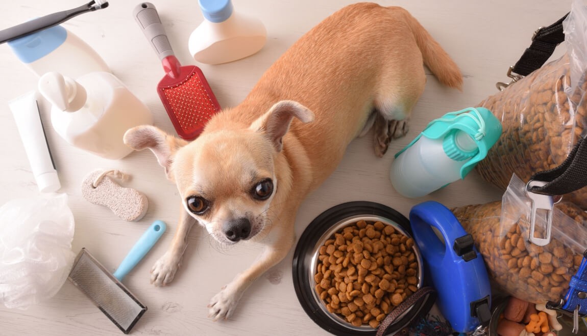 Organized pet supplies neatly stored in a compact, small-space setup with labeled bins and shelves.