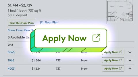 apply now button