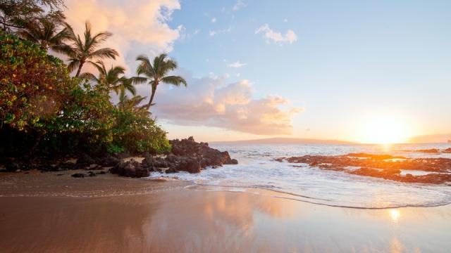 Tropical beach