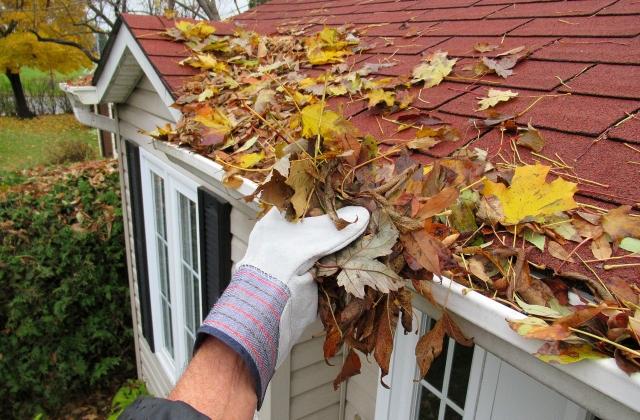 Cleaning leaves from gutters.