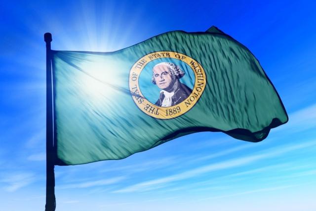 Washington State Flag blowing in the wind