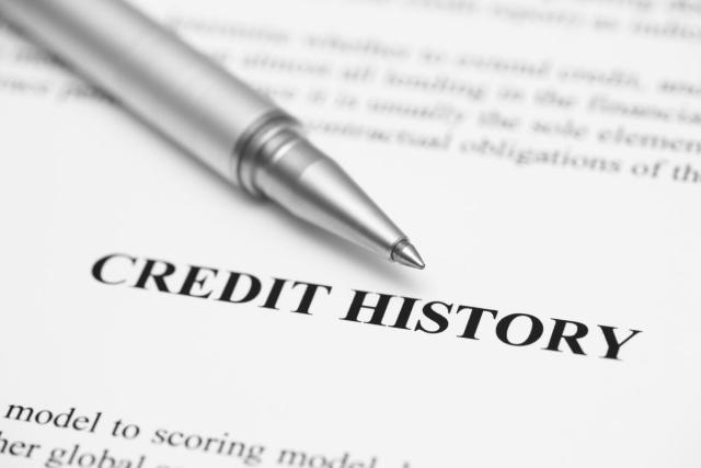 A credit history report