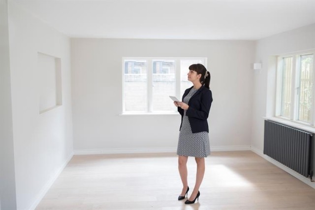 Realtor reviewing wall