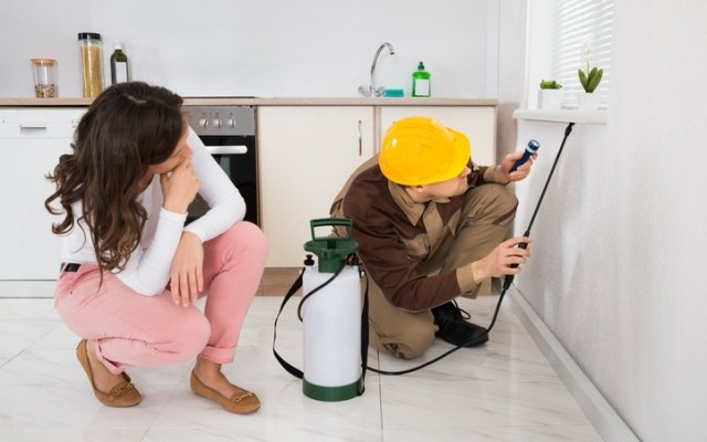 a crouched exterminator spraying below a window sill as the tenant observes from behind them