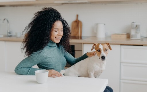 An image of a person sitting down with a dog on their lap. 
