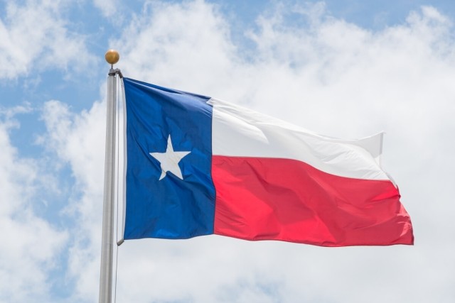The Texas State Flag