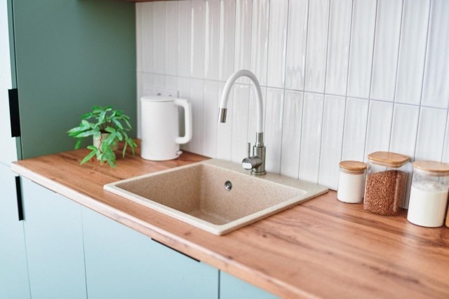 A kitchen sink surrounded by canisters and a potted plant